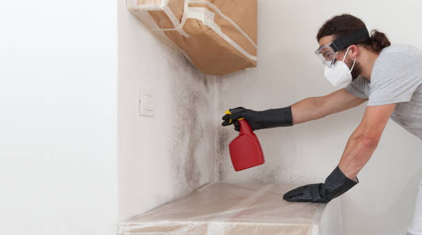 Professional Mold Testing technician working in Lehigh Acres, FL